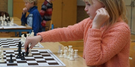 Om skolerne i Elev og Hårup